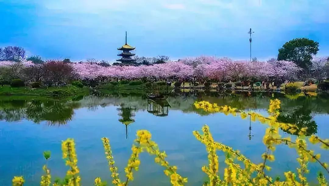 湖北38座城市公园数量排名,湖北有多少园林城市