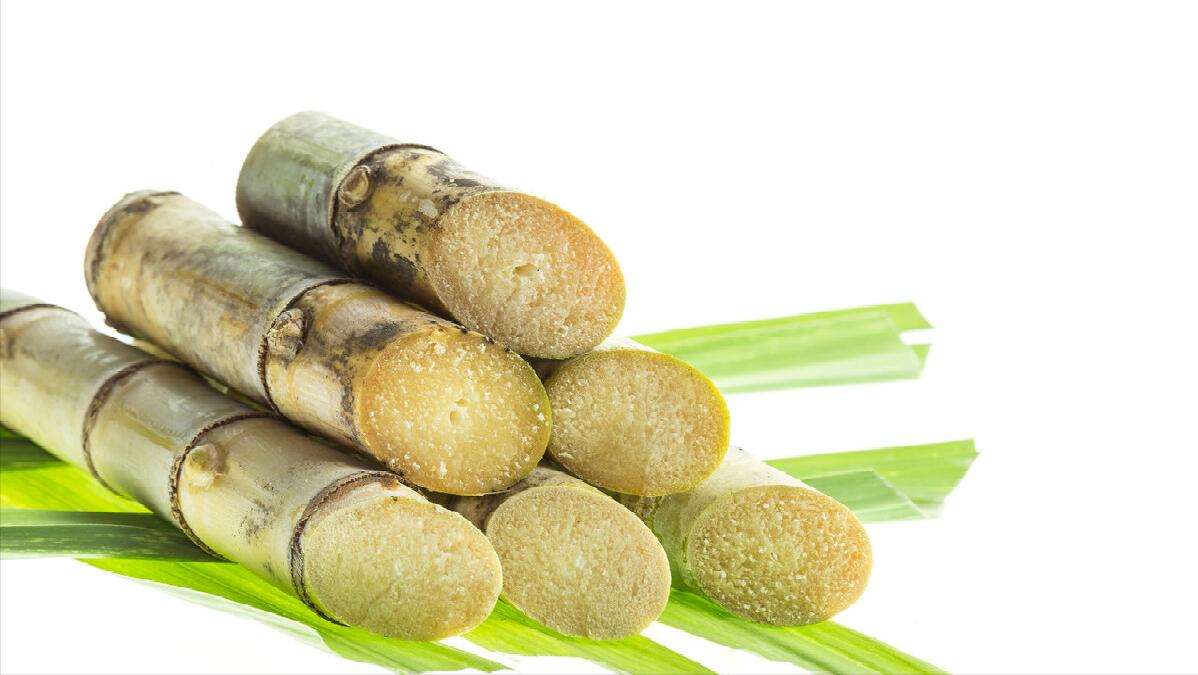 越吃越胖的水果想减肥可别碰它们,减肥期间这4种高热量水果要拒绝