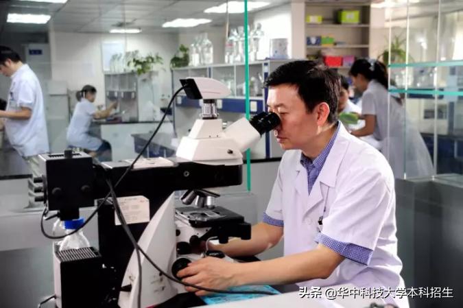 宫颈癌研究获重大突破,宫颈癌治疗的前沿研究