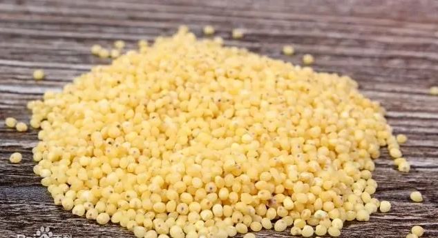 杂粮粥煮鸡蛋,早上喝杂粮粥配两个煮鸡蛋