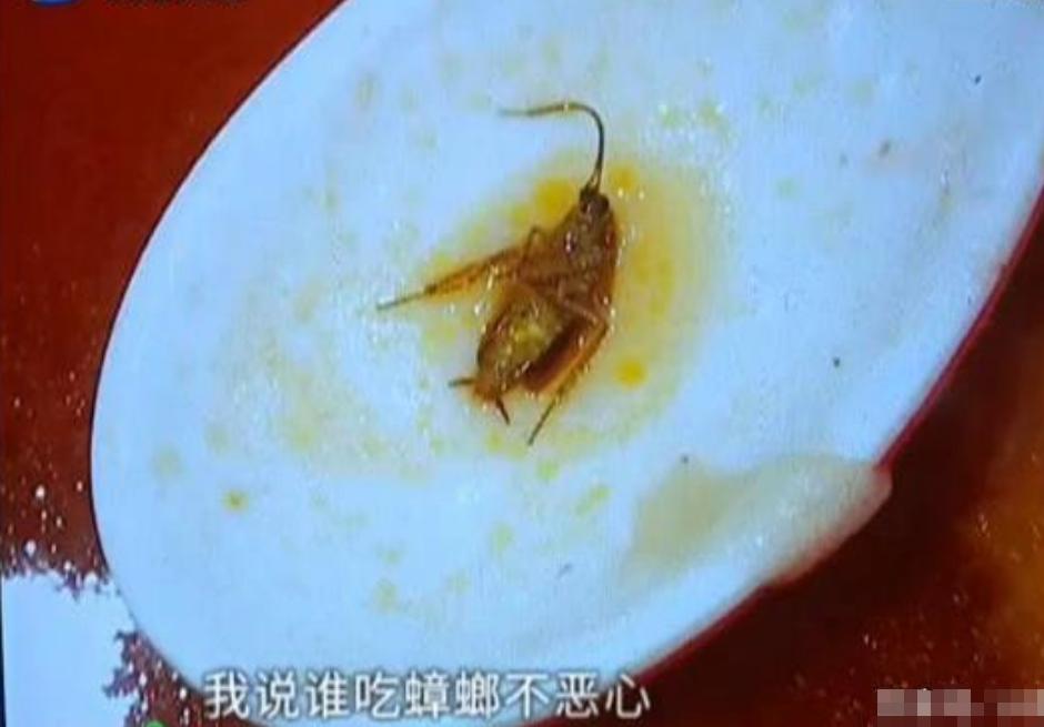 顾客面里吃出虫子老板拒绝赔付,在快餐店吃出蟑螂老板说赔200