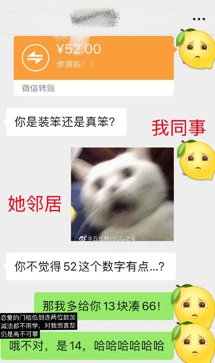 我家猫送亲戚了准备再养一只猫,给我家猫新交了一个嘚瑟的朋友