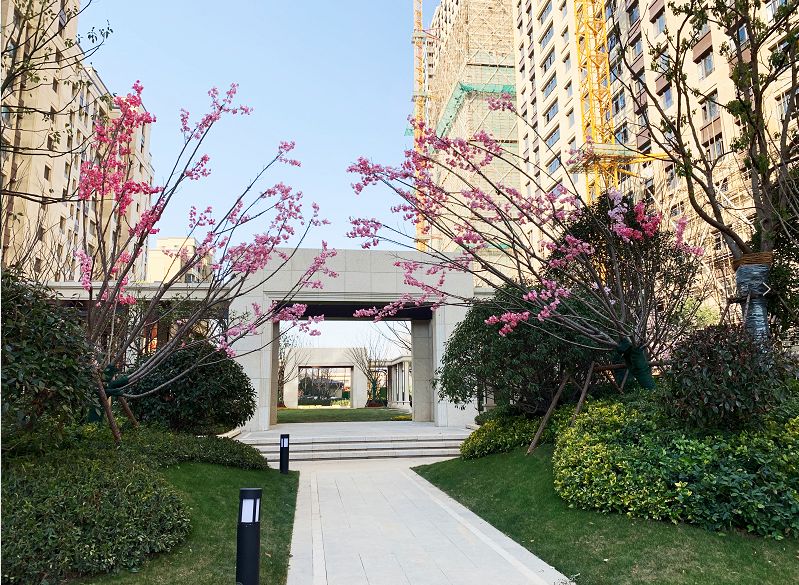 河西中房价,河西中豪宅