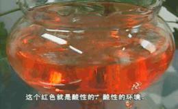 健康养生黑幕,关于健康的惊天骗局