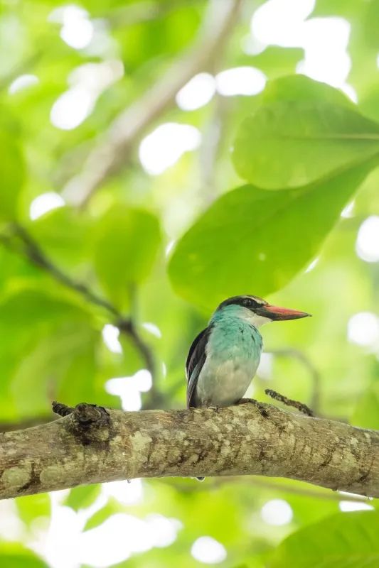 鏋佽嚧鏃呰浣撻獙,鏃呰鏋佽嚧浣撻獙