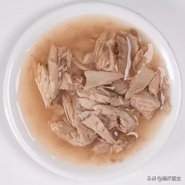 如何促使猫咪喝水,猫咪喜欢喝水吗