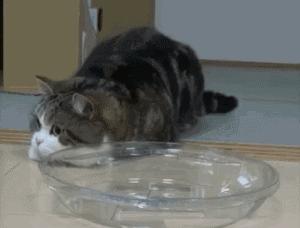 高考期间焦虑失眠怎么解决,高考紧张失眠怎么治