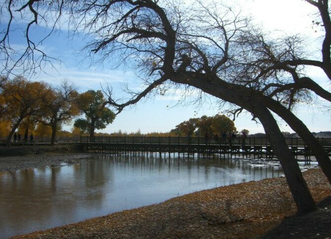 成都到额济纳旗五日游,南京到额济纳旗旅游攻略