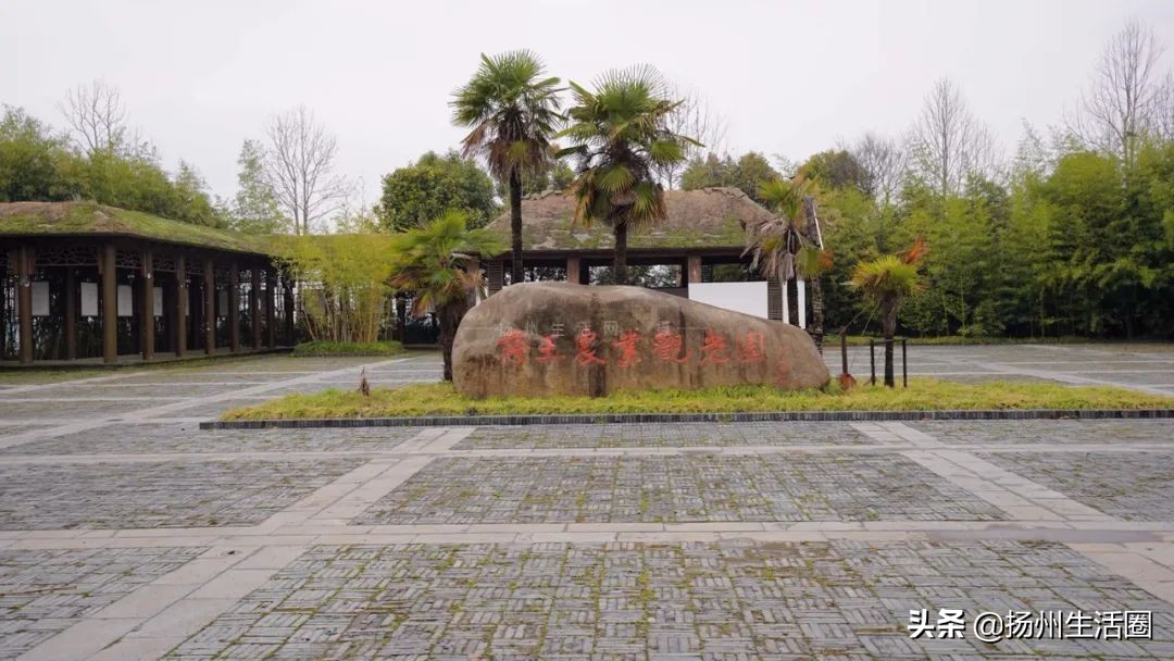 扬州花卉市场大全,扬州西区花卉市场