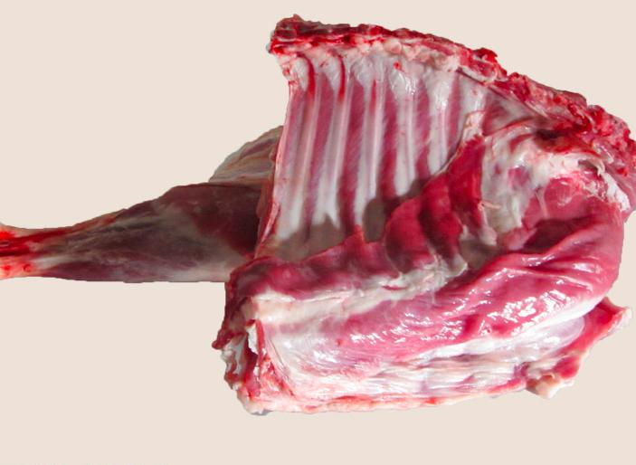 羊蹄山羊和绵羊哪个好,买羊肉山羊好还是绵羊好