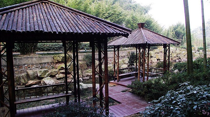 宜兴竹海山顶华南第一峰,宜兴华东第一竹海