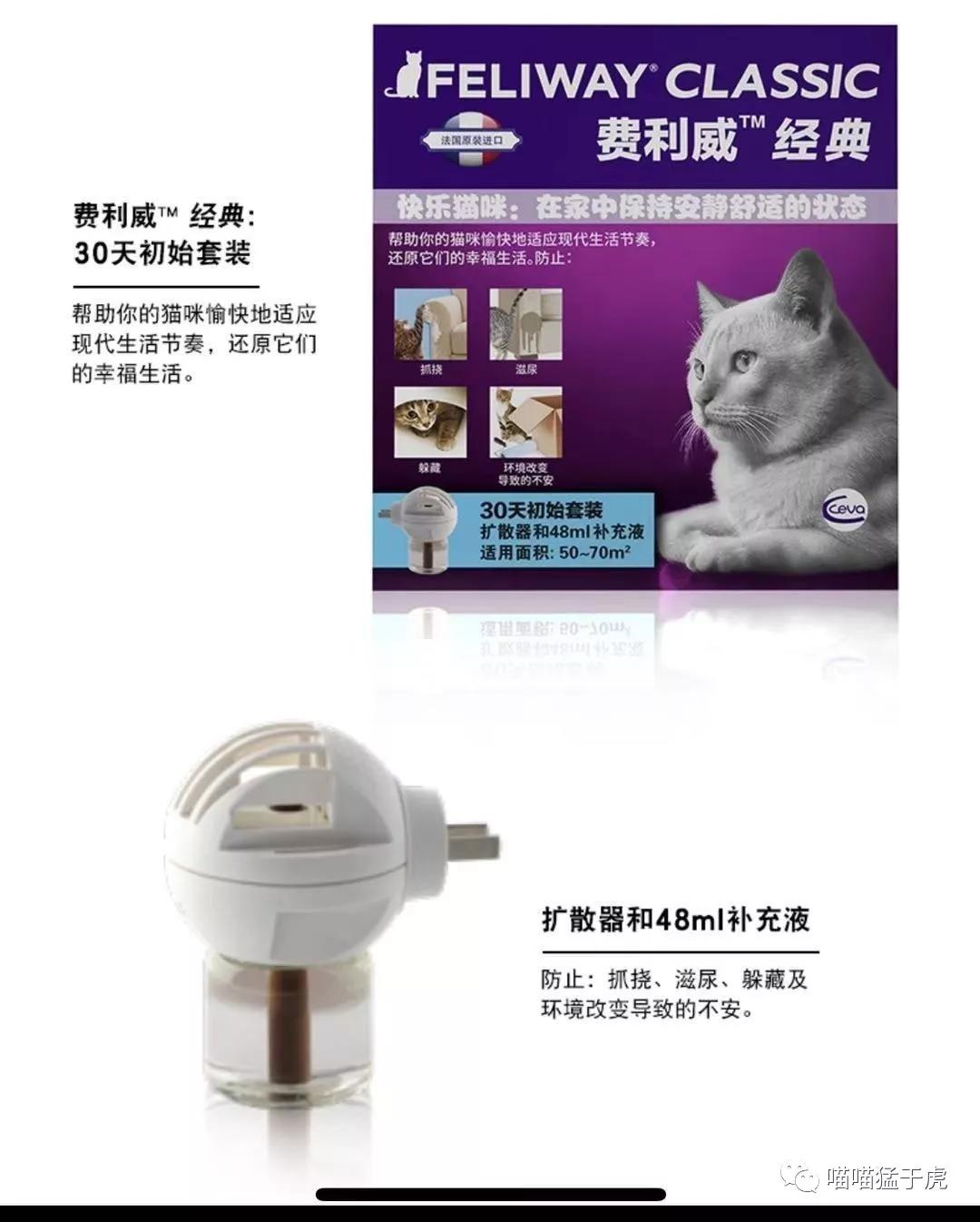 治疗猫咪抑郁症的四个方法图,猫抑郁的最佳治疗方法