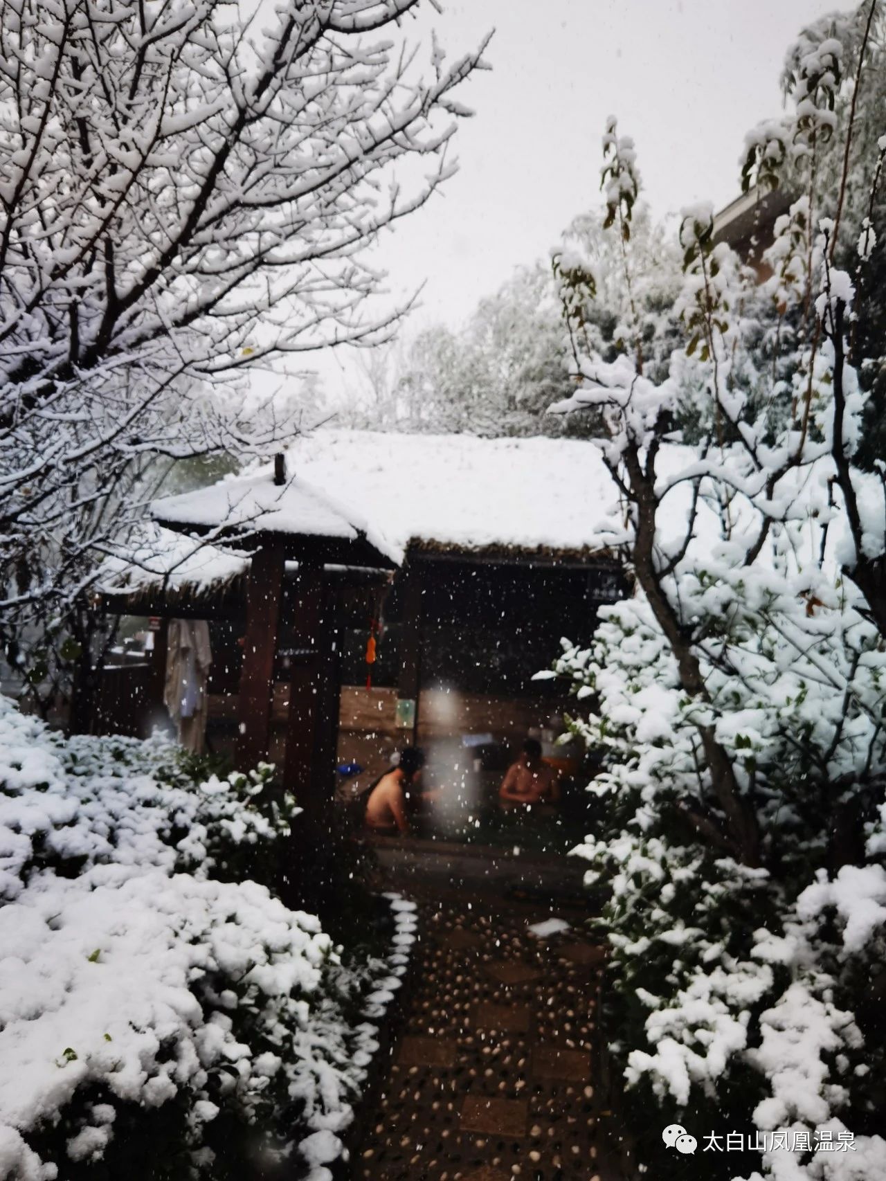 太白山温泉酒店500以下价格,太白山凤凰温泉酒店标准间价格