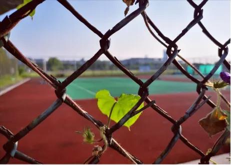 泰州学院和贵州师范大学,四十六所高校