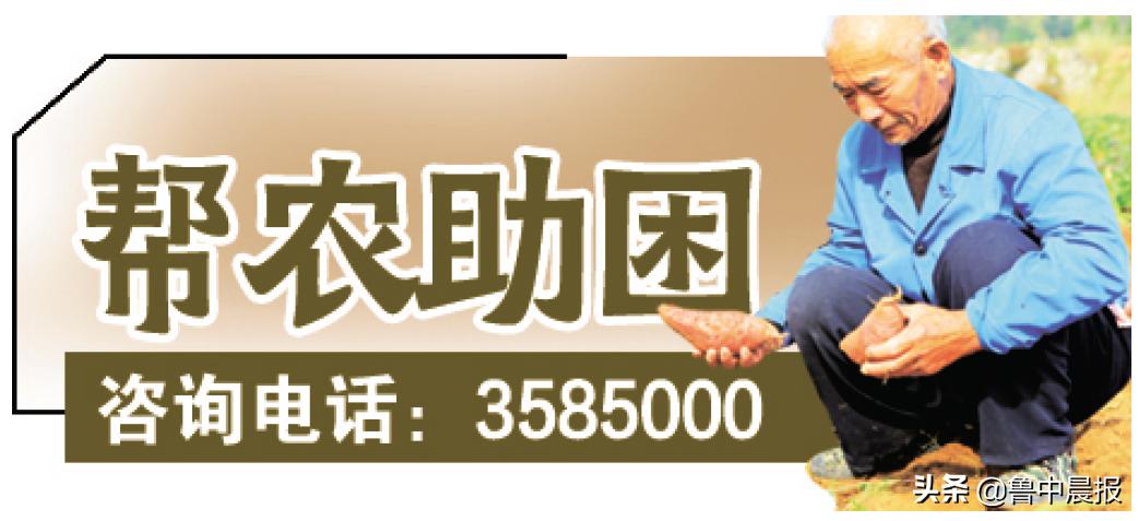 6.9元2斤蜜薯秒杀,西河蜜薯