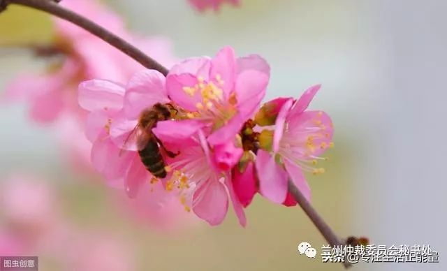 【兰仲悦读】三观不同，不必为伍