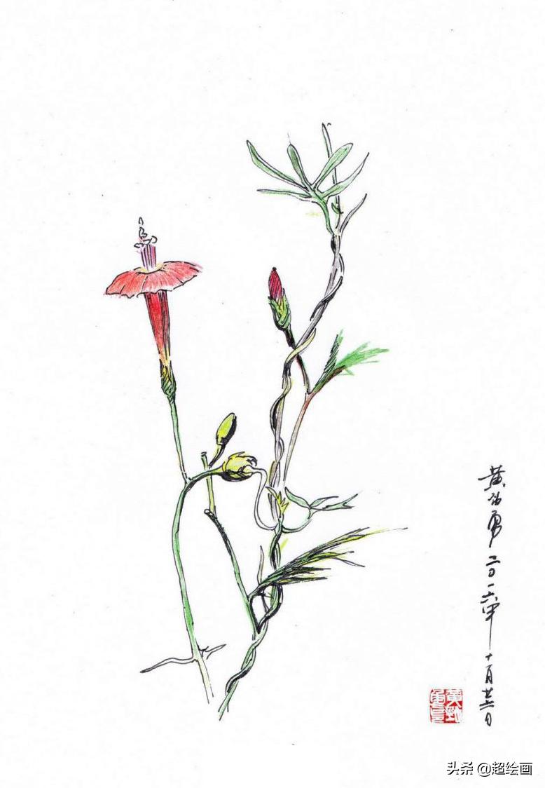 十大顶级钢笔画速写,钢笔速写100幅图片