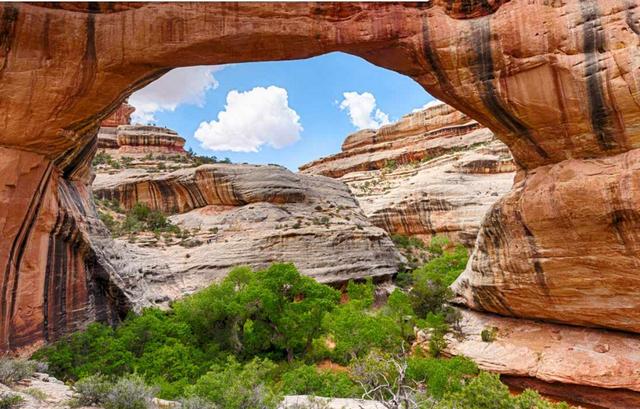 原创百年诗歌,百年孤寂的诗歌原创