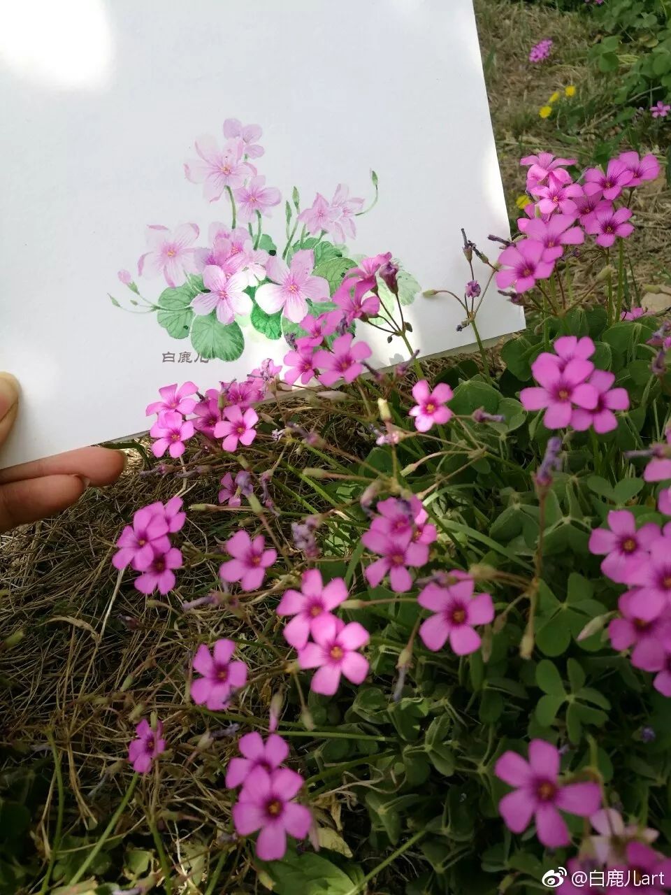 玉手青丝美女图片,一袭白衣清冷出尘的古风美人