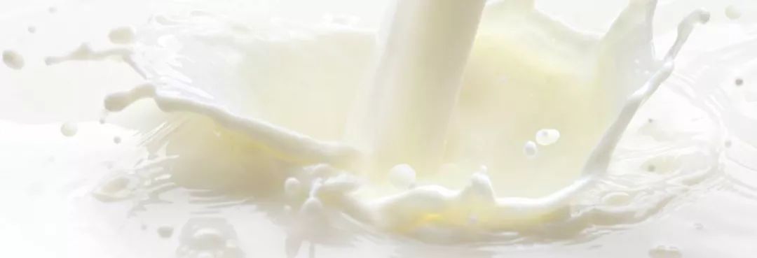 卫岗至淳有机生牛乳,卫岗牛奶新品种