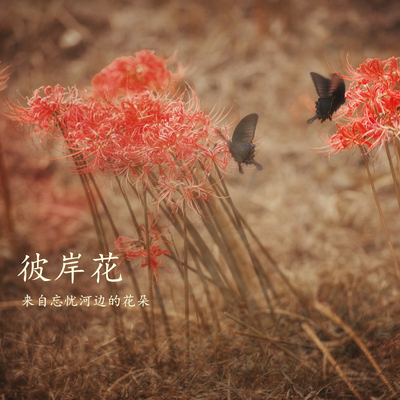 汉服出圈2019,推荐便宜实惠古风汉服