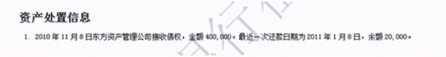 征信报告里面的机构查询记录明细,企业征信报告网上查询电子版打印