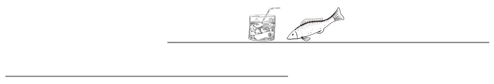 当夕阳红们以ilun之名战胜顶级流量,他们到底在较真什么?