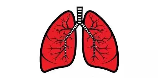 防癌筛查攻略,防癌筛查后注意事项