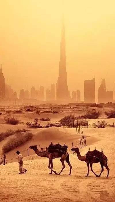 迪拜世界之最一共多少个城市,世界上最富有的城市是迪拜吗