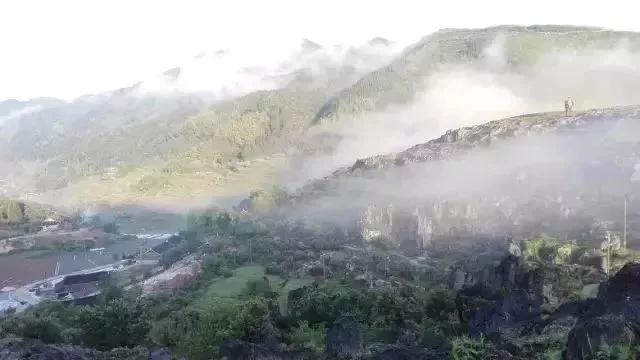 临江仙点滴芭蕉心欲碎表达了什么,临江仙点滴芭蕉心欲碎拼音版