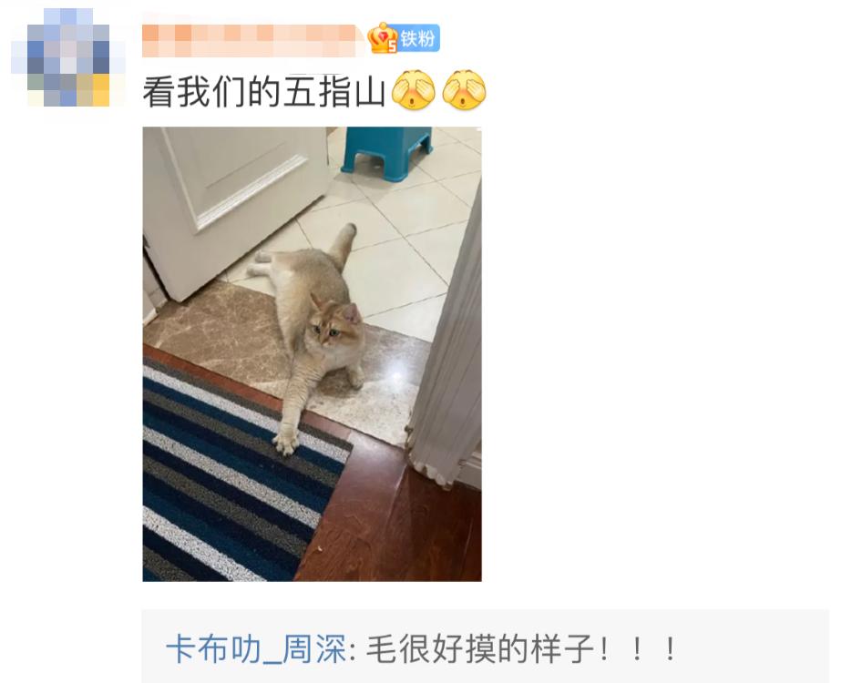 唱功逆天的男声,最被人低估的男歌手