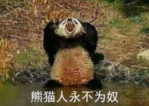 神武4代言人有哪几个,神武4手游代言人有哪些