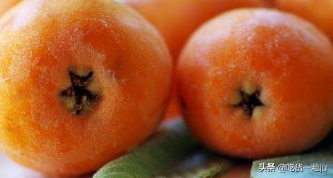 枇杷不是越黄越甜，买枇杷记住这5点，果肉幼滑赛榴莲