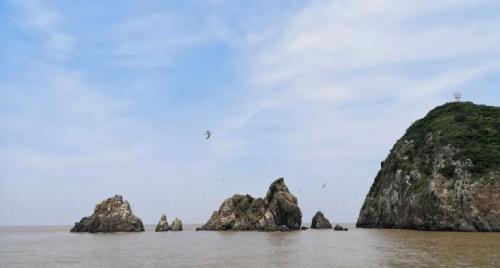 洪紫千出海记完整版 (出海记洪紫千视频)