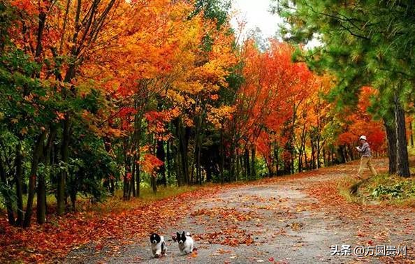 贵州清凉一日游,贵州黔南春季旅游攻略