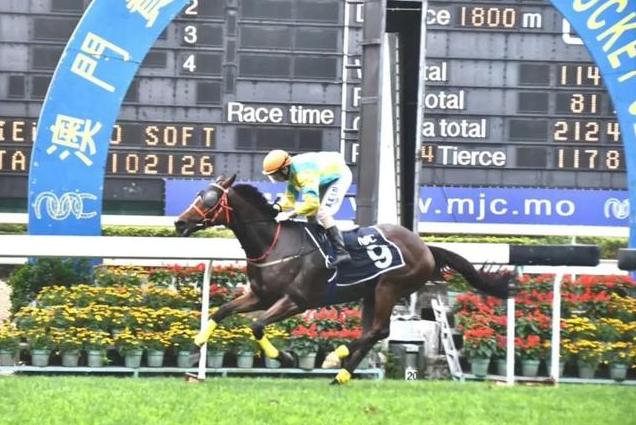 于谦赛马冠军完整版,郭德纲于谦最新相声赌论