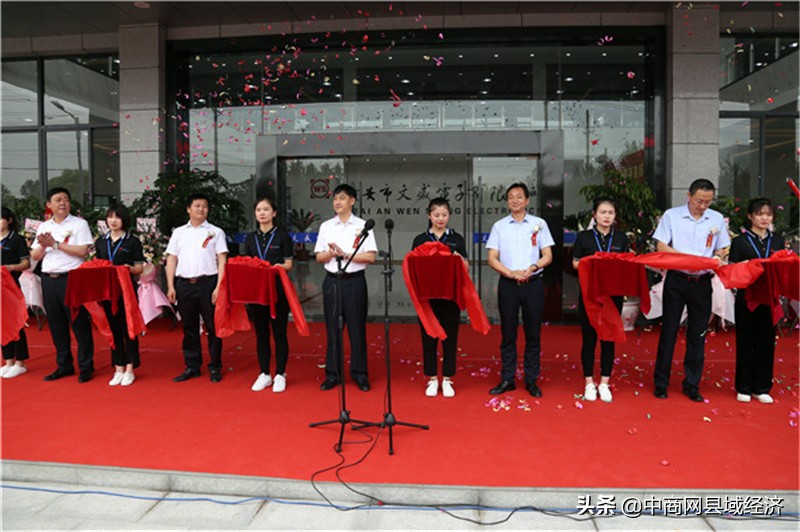 淮安市文盛电子,淮安文盛电感