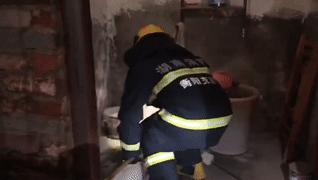 家附近蛇多怎么预防蛇不进屋,有蛇出没的地方怎么预防