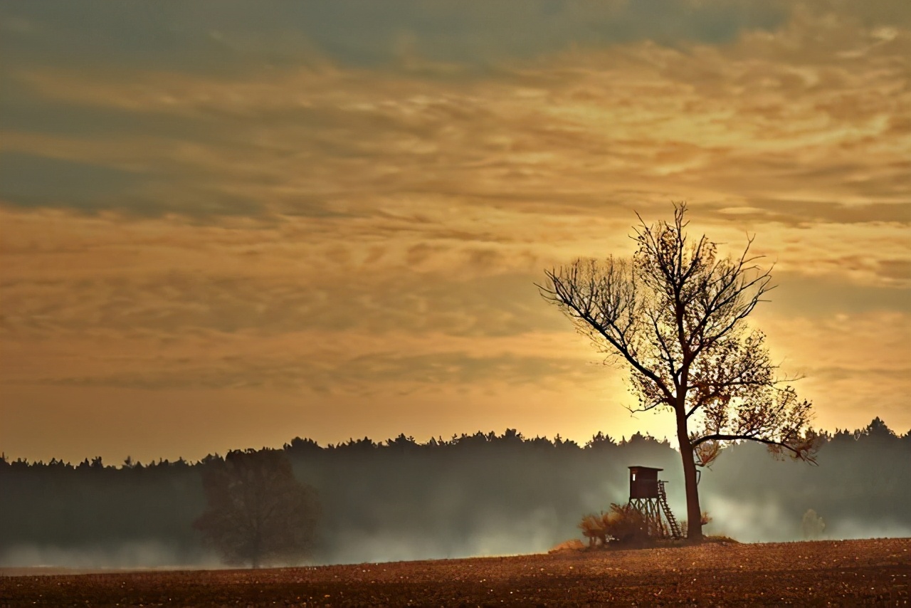 一生一世一双人半梦半醒半浮生,一生一世一双人相知相守
