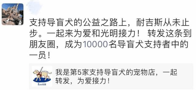 感谢15888名导盲犬支持者，1吨耐吉斯犬粮已送达导盲犬基地
