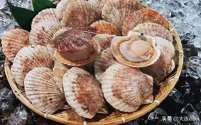 大连扇贝一年四季都有吗,大连的小扇贝叫什么