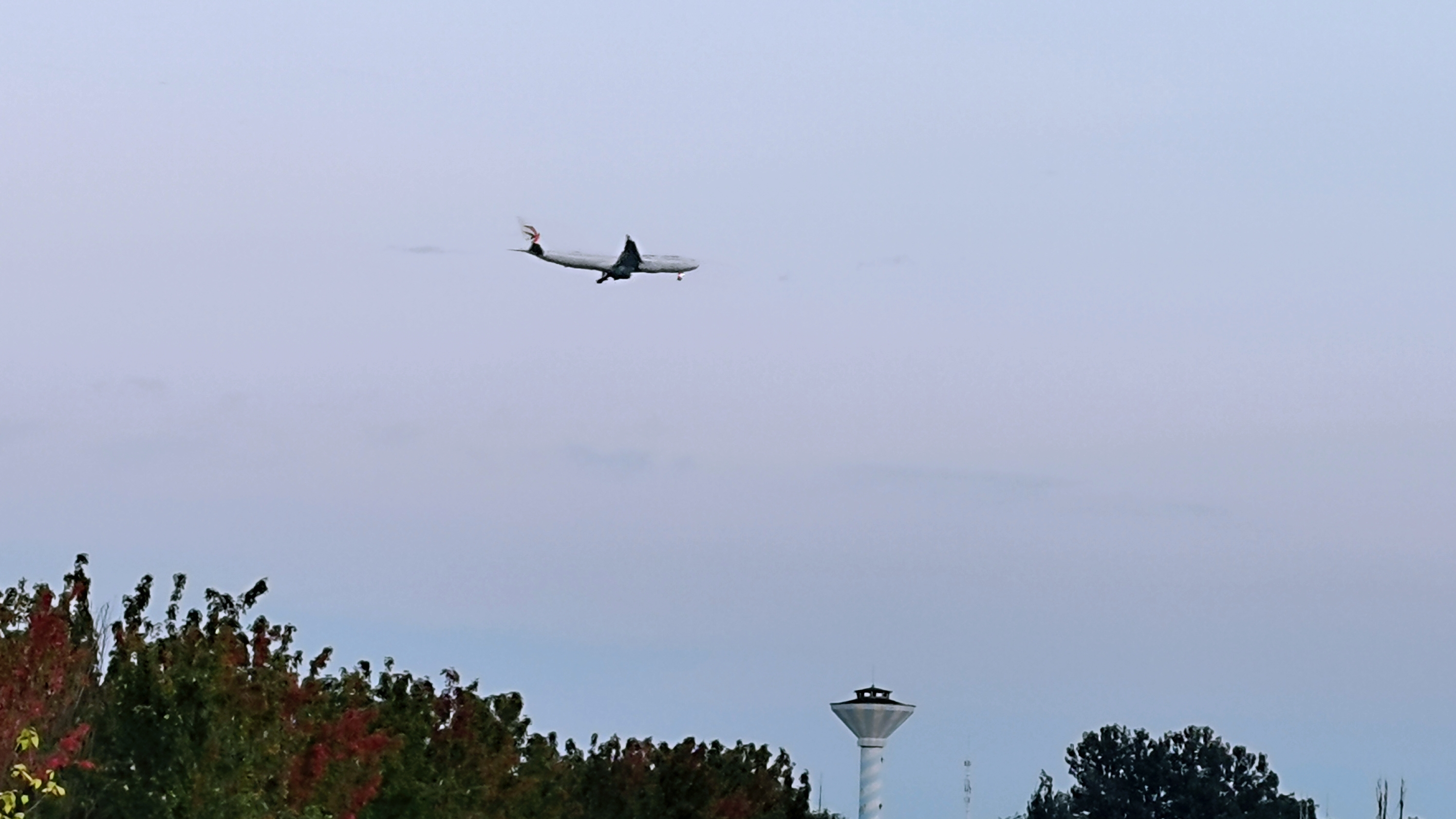 成都的各种风景,成都市内景色好的地方