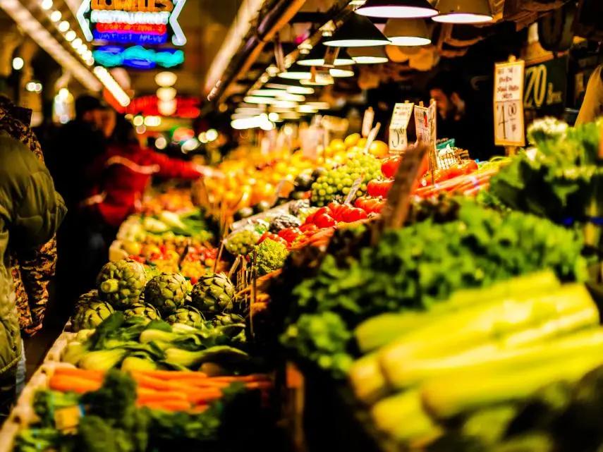 菜篮子前景,菜篮子的价值分析