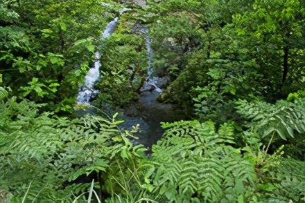 三门县稻蓬山风景名胜区门票,三门县紫云山庄