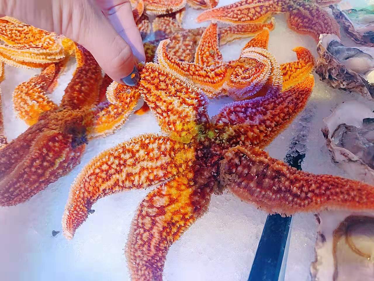 天天渔港蒸汽海鲜自助,丰台天天渔港蒸汽海鲜自助