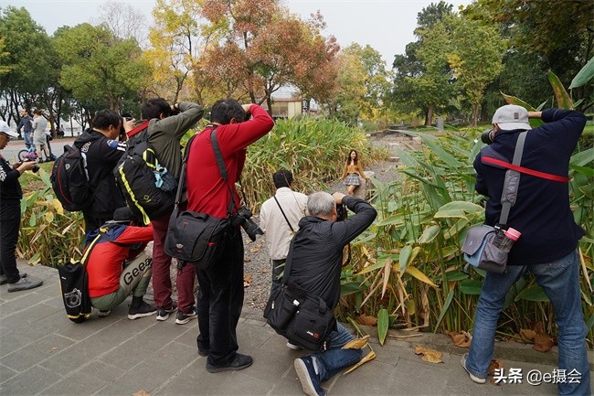 世博公园银杏林摄影照片,上海世博公园银杏最佳摄影机位