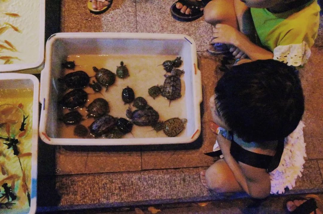 福州美食街夜市宣传片,福州夜市广告