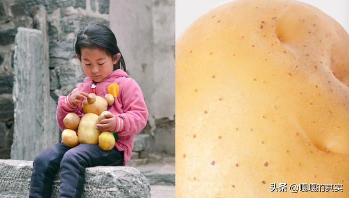 近年来实用的设计,最近的设计比赛