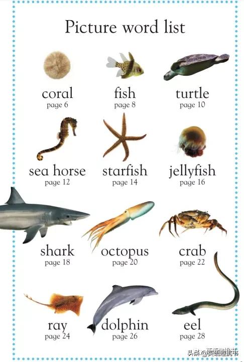 如果要推荐一本书要怎么推荐才好,如果一定要看一本书应该看什么书