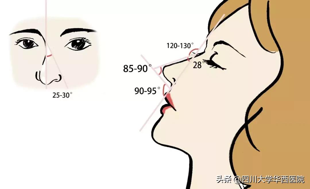 鼻子太翘怎么整形,鼻子太尖整形修复最佳方法